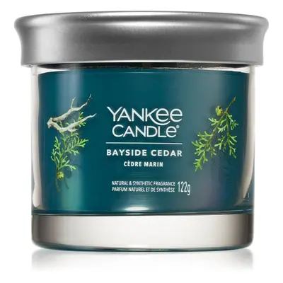 Yankee Candle Bayside Cedar vonná svíčka I. 122 g