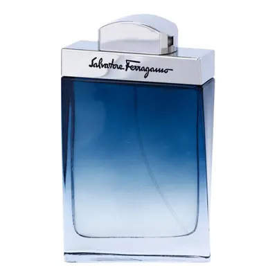 Ferragamo Subtil Pour Homme toaletní voda pro muže 100 ml