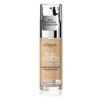 L’Oréal Paris True Match tekutý make-up odstín 3N 30 ml