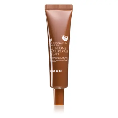 Mizon Multi Function Formula Snail regenerační krém s filtrátem hlemýždího sekretu 92% 35 ml