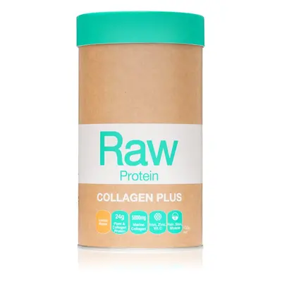 Amazonia Raw Protein Collagen Plus rostlinný protein s kolagenem příchuť Vanilla & Maple 450 g