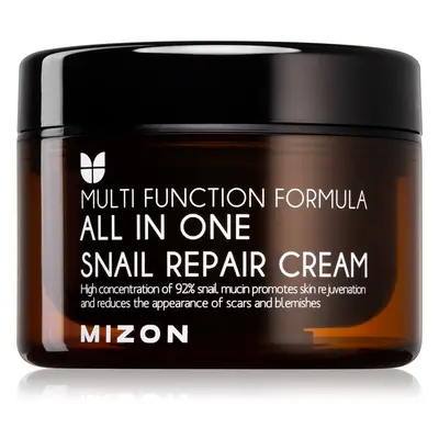 Mizon Multi Function Formula Snail regenerační krém s filtrátem hlemýždího sekretu 92% 120 ml