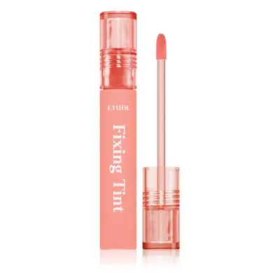 ETUDE Fixing Tint dlouhotrvající rtěnka s matným efektem odstín #03 Mellow Peach 4 g