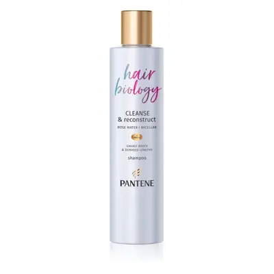 Pantene Hair Biology Cleanse & Reconstruct šampon pro mastné vlasy 250 ml