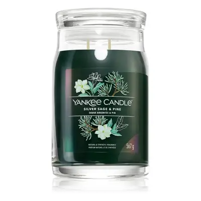 Yankee Candle Silver Sage & Pine vonná svíčka Signature 567 g