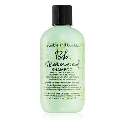 Bumble and bumble Seaweed Shampoo šampon na vlnité vlasy s výtažky z mořských řas 250 ml