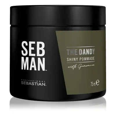 Sebastian Professional SEB MAN The Dandy pomáda na vlasy pro přirozenou fixaci 75 ml