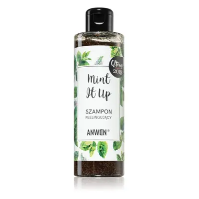 Anwen Mint It Up exfoliační šampon 200 ml