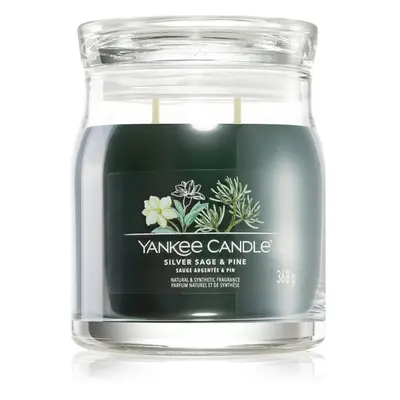 Yankee Candle Silver Sage & Pine vonná svíčka Signature 368 g