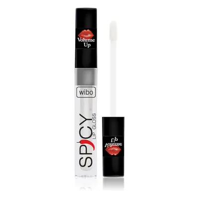 Wibo Lip Gloss Spicy lesk na rty pro větší objem 21 3 ml