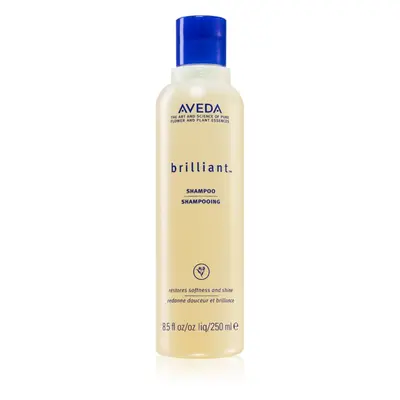 Aveda Brilliant™ Shampoo šampon pro chemicky ošetřené vlasy 250 ml