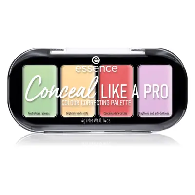 Essence CONCEAL like a PRO paleta korektorů 4 g