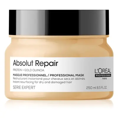 L’Oréal Professionnel Serie Expert Absolut Repair hloubkově regenerační maska pro suché a poškoz