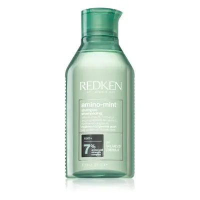 Redken Amino Mint jemný čisticí šampon pro rychle se mastící vlasy 300 ml