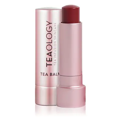 Teaology Tea Balm hydratační balzám na rty v tyčince odstín Berry Tea 4 g