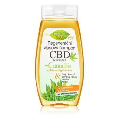 Bione Cosmetics Cannabis CBD regenerační šampon s CBD 260 ml