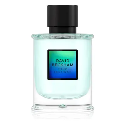 David Beckham True Instinct parfémovaná voda pro muže 75 ml