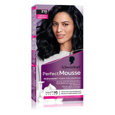 Schwarzkopf Perfect Mousse permanentní barva na vlasy odstín 210 Ledový černý 1 ks