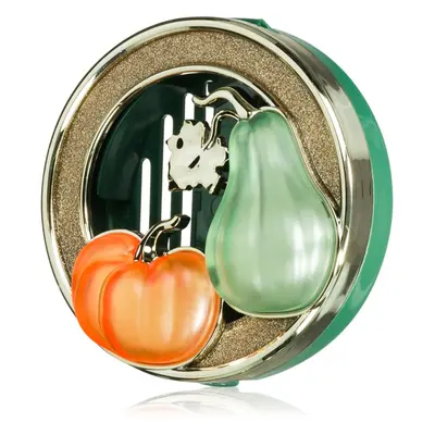 Bath & Body Works Pumpkin and Gourd držák na vůni do auta bez náplně 1 ks