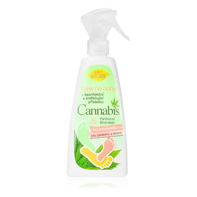 Bione Cosmetics Cannabis sprej na nohy 260 ml