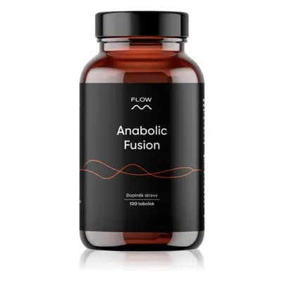 Flow Anabolic fusion 2.0 kapsle na podporu hormonální rovnováhy pro muže 120 cps