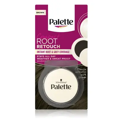 Schwarzkopf Palette Compact Root Retouch vlasový korektor odrostů a šedin s pudrovým efektem ods