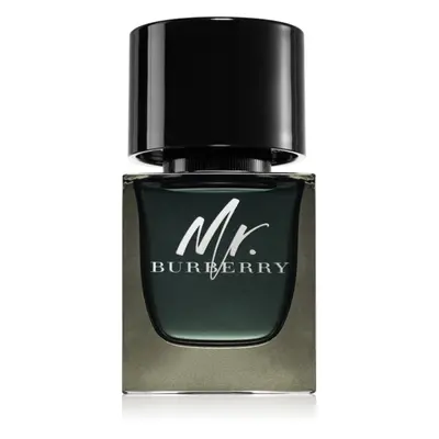 Burberry Mr. Burberry parfémovaná voda pro muže 50 ml