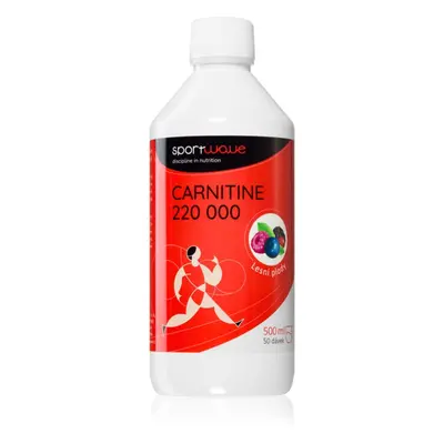 SportWave® Carnitine 220 000 spalovač tuků příchuť Forest Berries 500 ml