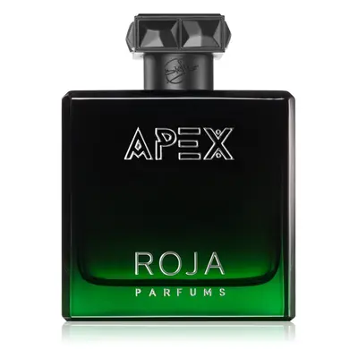 Roja Parfums Apex parfémovaná voda pro muže 100 ml