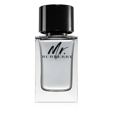 Burberry Mr. Burberry toaletní voda pro muže 100 ml