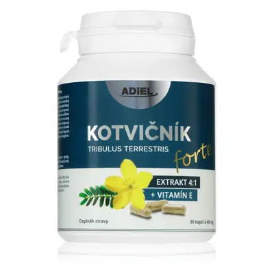 Adiel Kotvičník + vitamin E forte bylinné kapsle na podporu hormonální rovnováhy 90 cps