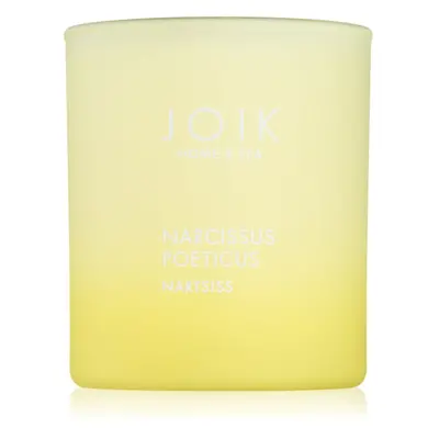 JOIK Home & Spa Narcissus vonná svíčka 150 g