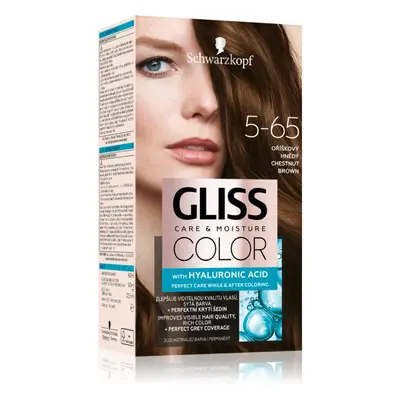 Schwarzkopf Gliss Color permanentní barva na vlasy odstín 5-65 Oříškový hnědý 1 ks