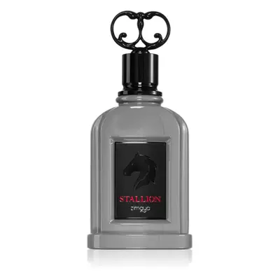 Zimaya Stallion parfémovaná voda pro muže 100 ml