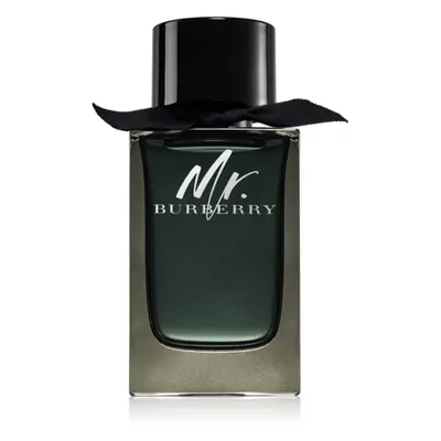 Burberry Mr. Burberry parfémovaná voda pro muže 150 ml