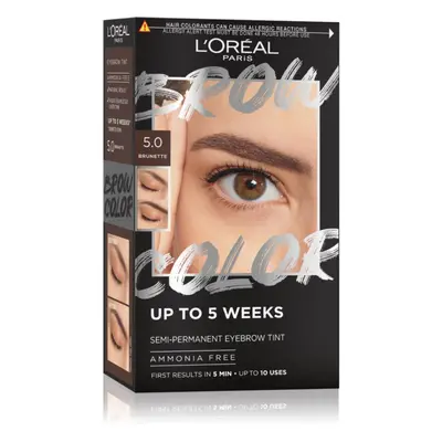 L’Oréal Paris Brow Color barva na obočí odstín 5.0 Brunette 1 ks