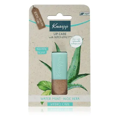 Kneipp Aloe Vera balzám na rty 4.7 g