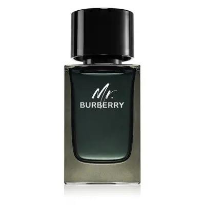 Burberry Mr. Burberry parfémovaná voda pro muže 100 ml