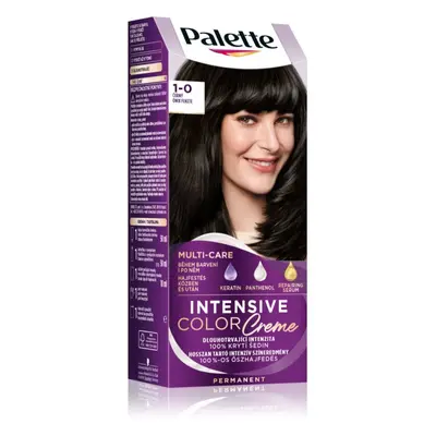 Schwarzkopf Palette Intensive Color Creme permanentní barva na vlasy odstín 1-0 N1 Black 1 ks