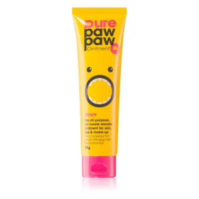 Pure Paw Paw Grape balzám na rty a suchá místa 25 g