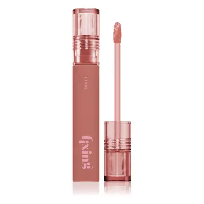 ETUDE Fixing Tint dlouhotrvající rtěnka s matným efektem odstín #12 Salmon Brick 4 g