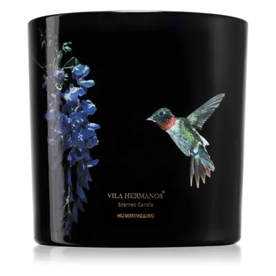 Vila Hermanos Jungletopia Hummingbird vonná svíčka 620 g