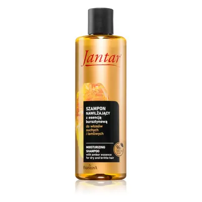 Farmona Jantar Amber Essence hydratační šampon pro suché vlasy 300 ml