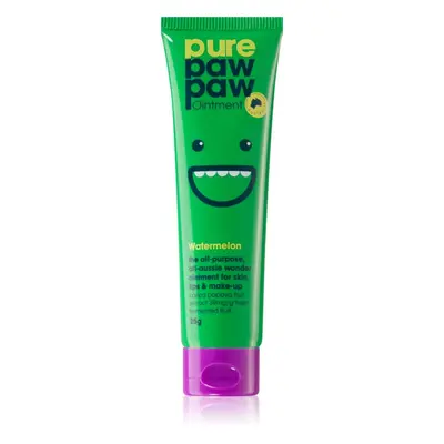 Pure Paw Paw Watermelon balzám na rty a suchá místa 25 g