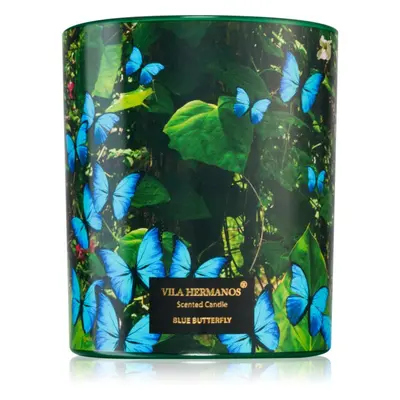 Vila Hermanos Jungletopia Blue Butterfly vonná svíčka 200 g