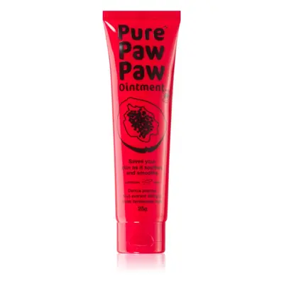 Pure Paw Paw Ointment balzám na rty a suchá místa 25 g