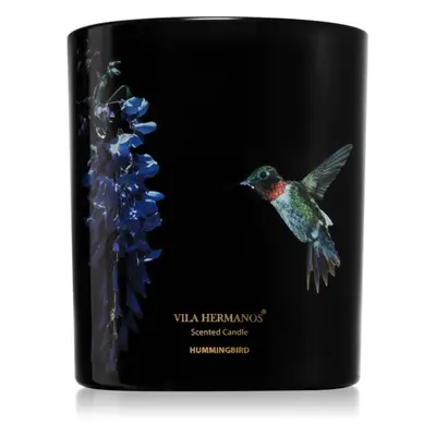 Vila Hermanos Jungletopia Hummingbird vonná svíčka 200 g