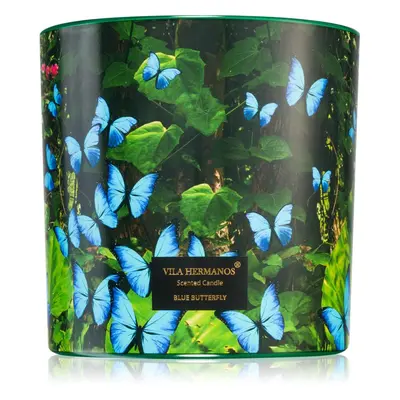 Vila Hermanos Jungletopia Blue Butterfly vonná svíčka 620 g