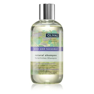 Olival Natural Mint and Lavender přírodní šampon pro suché a poškozené vlasy 250 ml