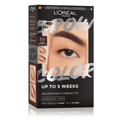 L’Oréal Paris Brow Color barva na obočí odstín 3.0 Dark Brunette 1 ks